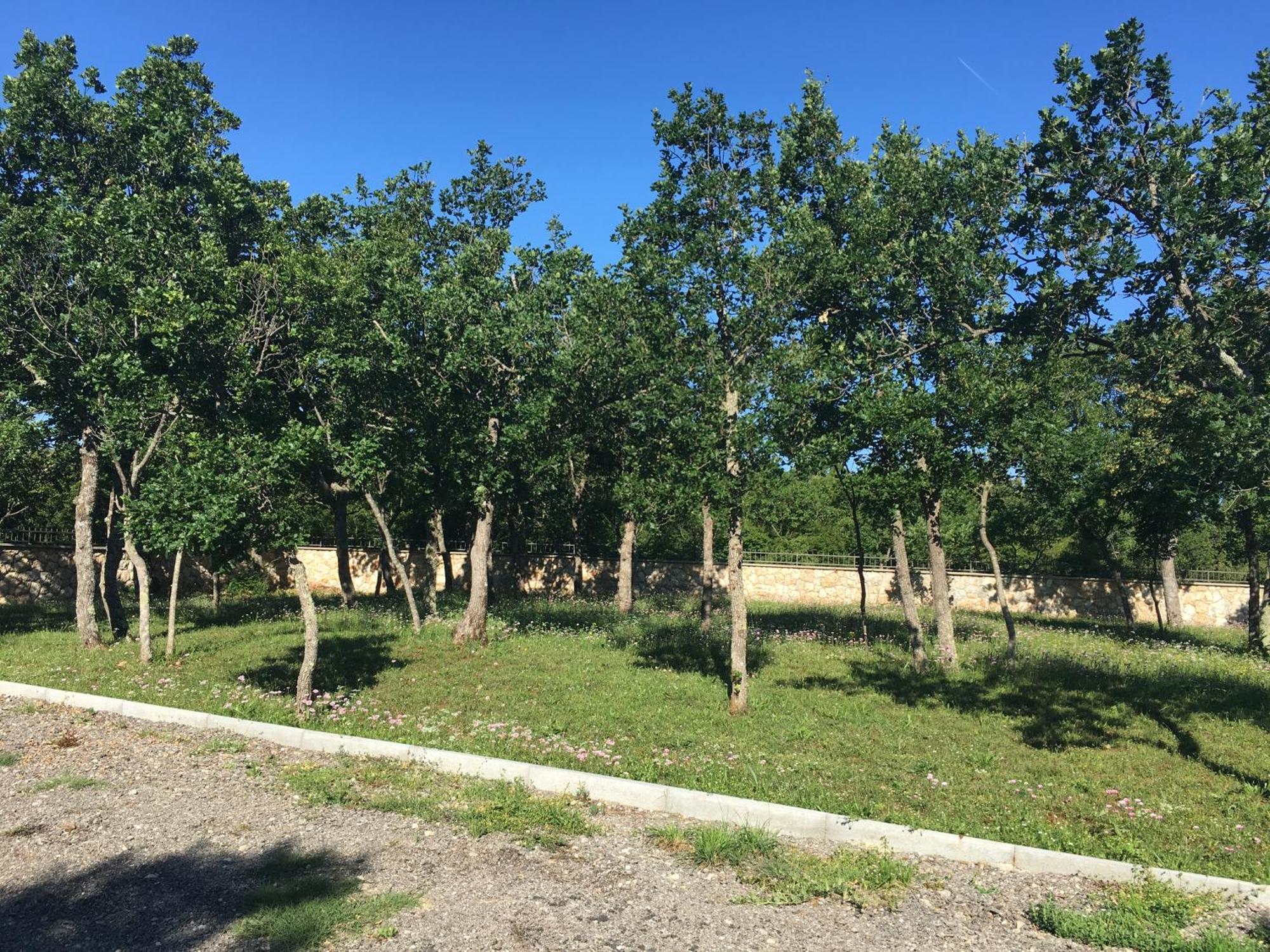 Micanovi Dvori Mobile Home Village Zrmanja Обровац Екстериор снимка